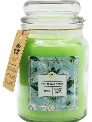 White Gardenia ARÔME Pouze Dnes
