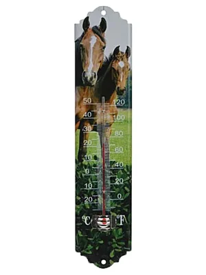 Hit Sezóny Venkovní teploměr 29,5 cm, koně Home Elements