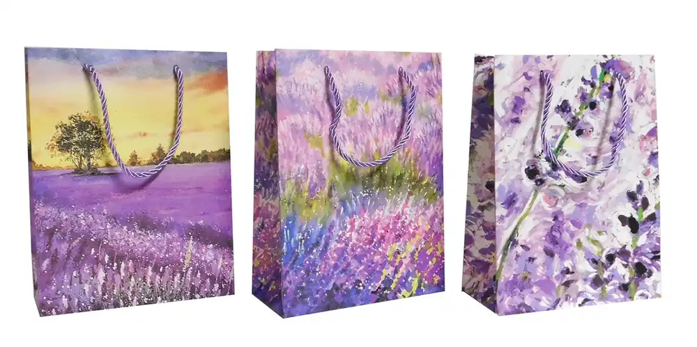 Autentický PROHOME - Taška dárková 18x24x8,5cm různé dekory