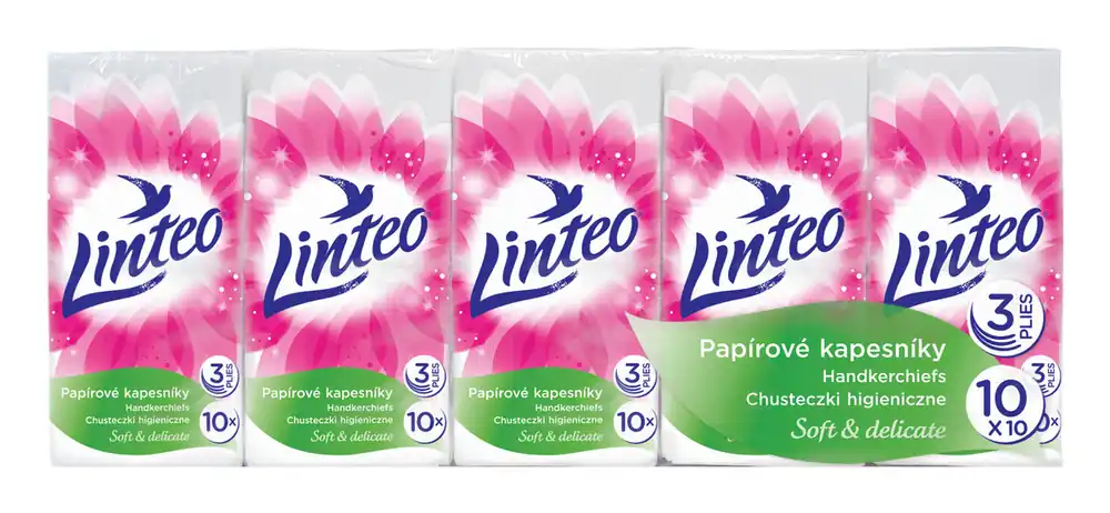 Odeslání Ihned PROHOME - Kapesníčky LINTEO SATIN 10x10