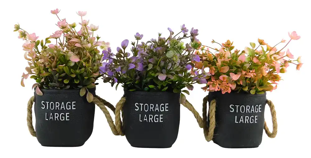 Odeslání Ihned PROHOME - Sukulent 21cm různé barvy