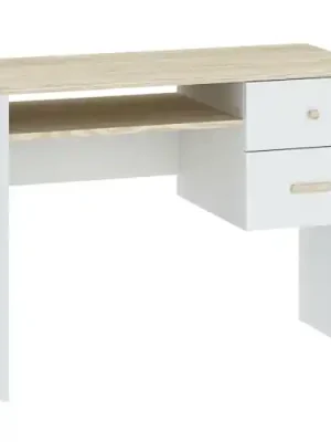 Objednat Nyní Psací stůl GOODY 2S