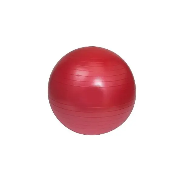 Masážní rehabilitační míč Pilo-1055, 55 cm, červená Akční Nabídka