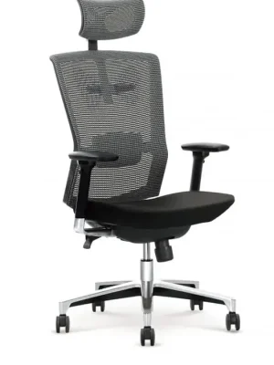 Must-Have Kancelářská židle AMBASADOR