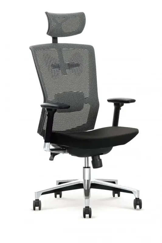 Must-Have Kancelářská židle AMBASADOR