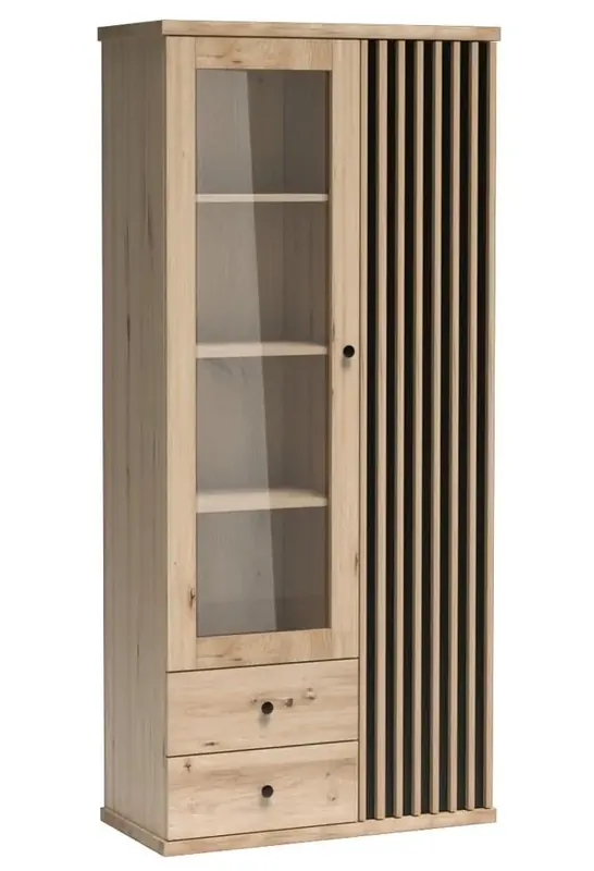 Vitrína 2D2S BARBUS dub artisan/černá Sezónní Sleva