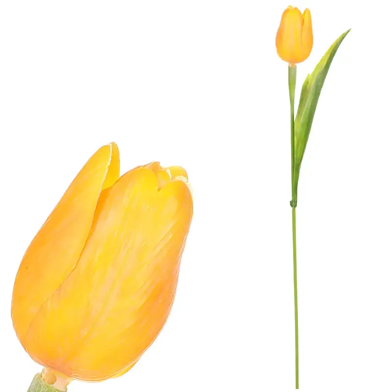 Tulipán žlutý SG60104 YEL Horká Nabídka
