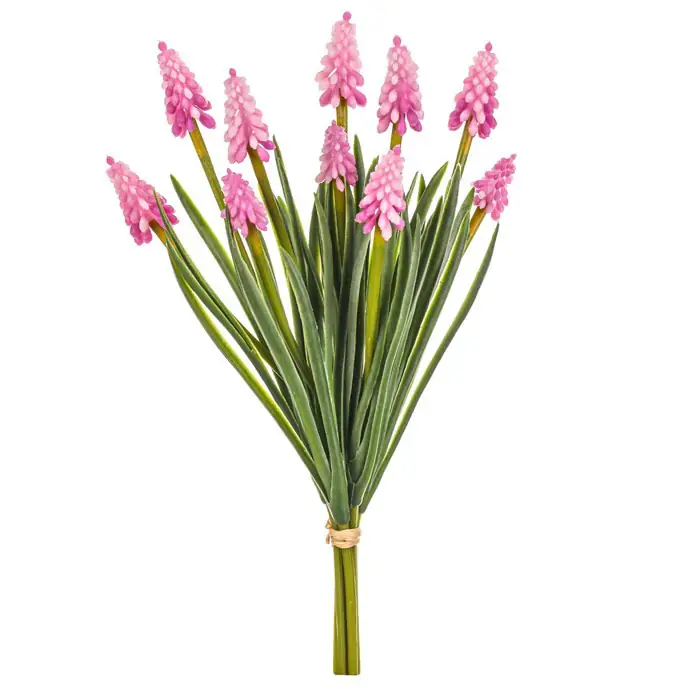 Modřenec růžový UKN100 PINK Kup Teď