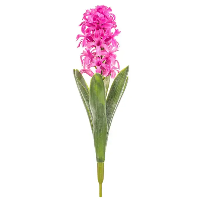 Hyacint tmavě růžová UKN102 PINK-DK Přímo Od Výrobce